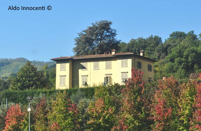 VILLA DEL POGGIOLINO 6